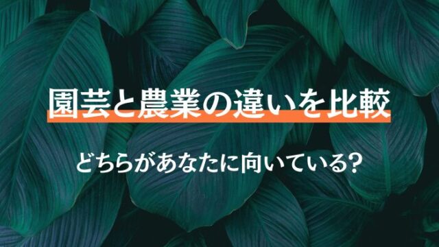 園芸　農業　違い