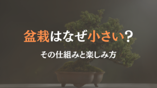 盆栽　なぜ小さい