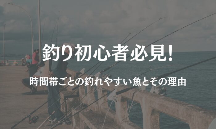 釣り 時間帯