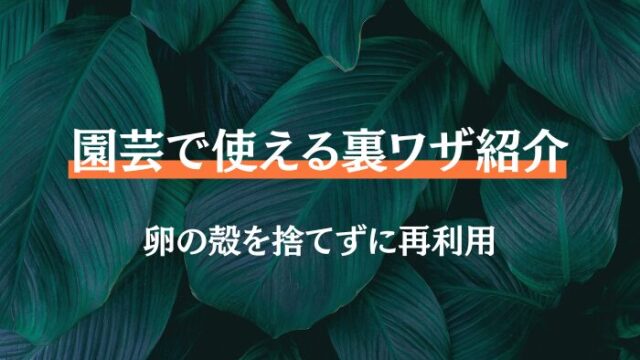 園芸　卵の殻　肥料