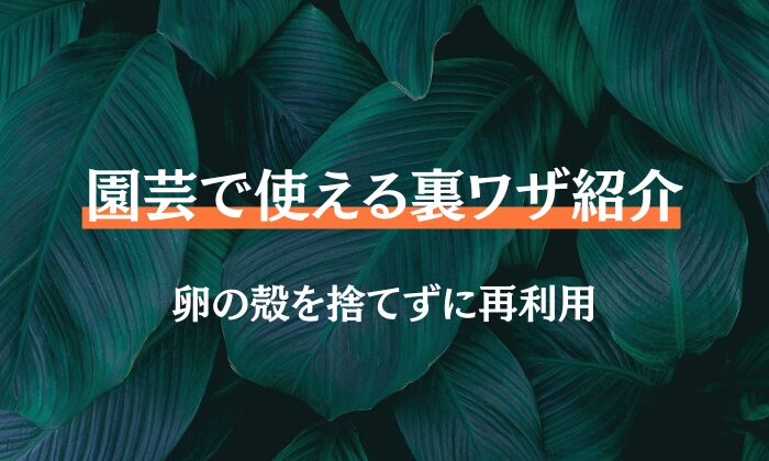 園芸　卵の殻　肥料