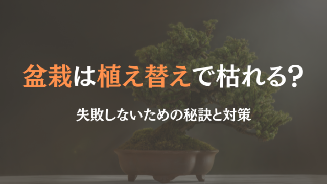 盆栽 植え替え 枯れる