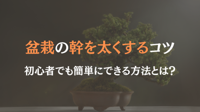 盆栽 幹を太くする