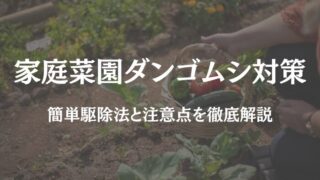 家庭菜園 ダンゴムシ