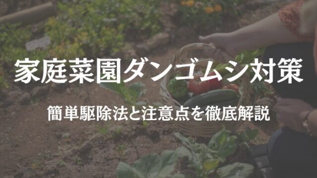 家庭菜園 ダンゴムシ