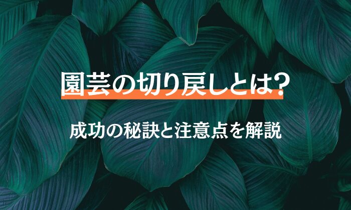 園芸 切り戻しとは