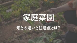 家庭菜園と畑の違い