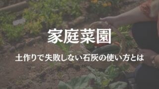 家庭菜園 土作り 石灰