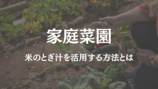 家庭菜園 米のとぎ汁