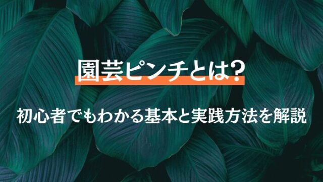 園芸 ピンチとは