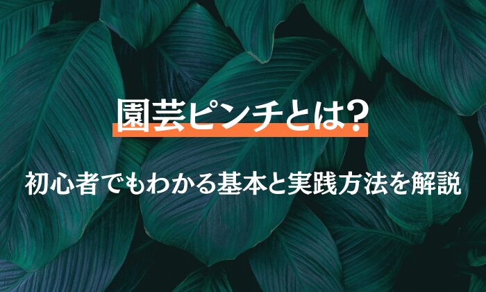 園芸 ピンチとは