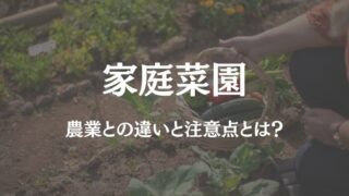 家庭菜園 農業 違い