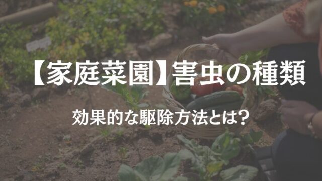 家庭菜園 害虫 種類