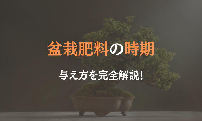 盆栽 肥料 時期